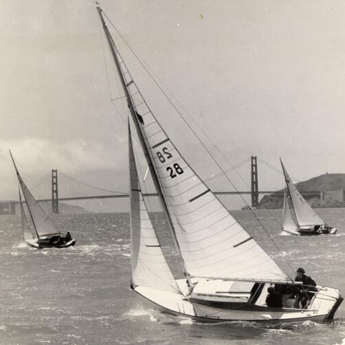 [A familiar yachting scene on San Francisco Bay, the Bear class fleet under full sail with the Golden Gate Bridge in the background]