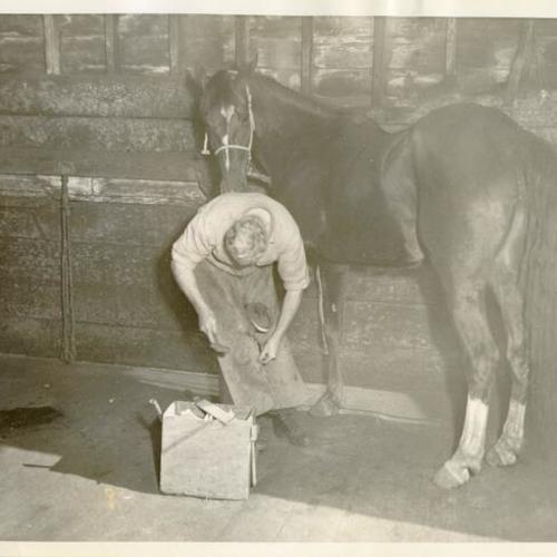 [Man putting a horseshoe on a horse in Visitacion Valley] 
