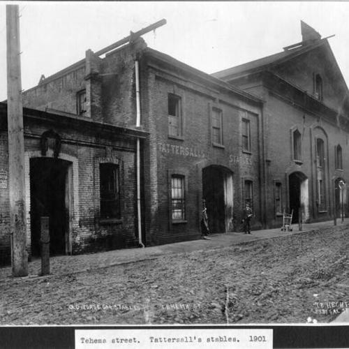 Tehama Street.  Tattersall's stables.  1901