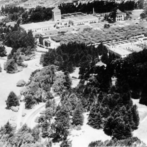 [Aerial view of the De Young Museum and surrounding area in Golden Gate Park]
