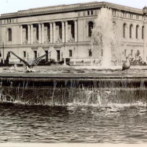 [Exterior view of Main Library in 1920's while sea gulls taking bath in the water fountain in foreground]