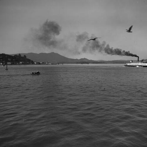 Marin Sausalito Ferry crossing San Francisco Bay
