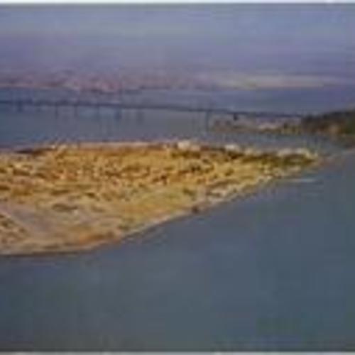 [In San Francisco Bay - Treasure Island and Yerba Buena Island In San Francisco Bay, Bay Bridge in background]