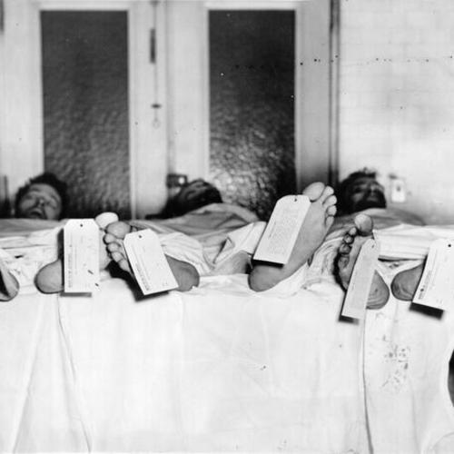 [Bodies of three prisoners who died trying to escape from Alcatraz Prison]