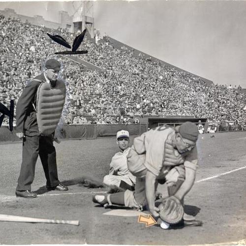 [San Francisco Seals shortstop Joe Hoover scoring a run during a baseball game at Seals Stadium]