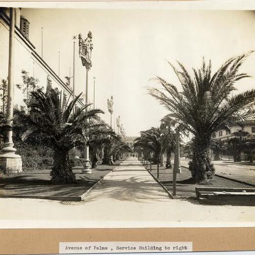 Avenue of Palms, Service Building to right