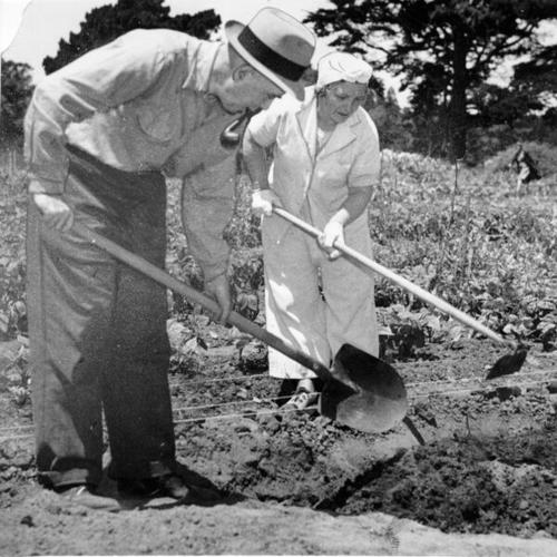 [Albert and Mrs. Sutterlin cultivate a garden in Golden Gate Park]