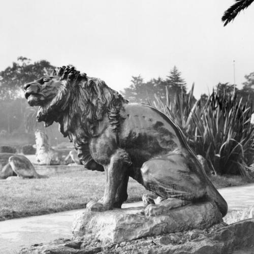 [Bronze lion, Golden Gate Park]
