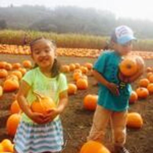 [Jesela and Keanae picking pumpkins for carving during Halloween at Pumpkin patch at Half Moon Bay]