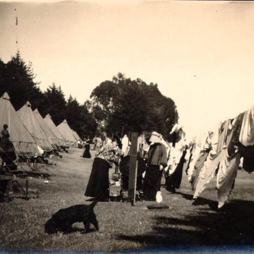 [Refugees washing their laundry in Golden Gate Park]