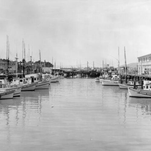 [Boats docked in the Fisherman's Wharf]
