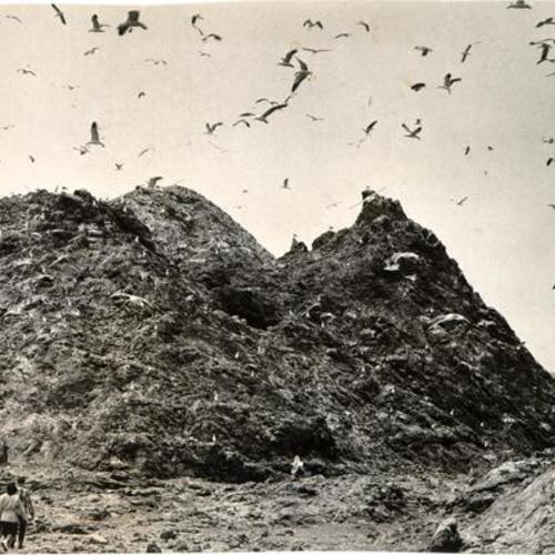 [Two people walking near a rocky hill on one of the Farallon Islands]