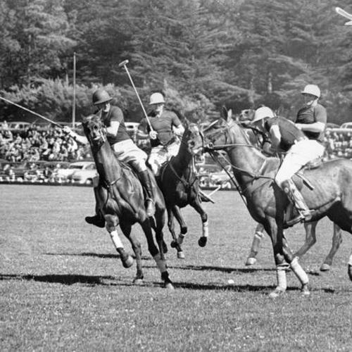 [Polo game being played at Golden Gate Park]