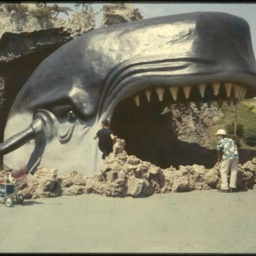 People looking at Monstro the Whale