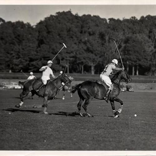 [Polo game between Australia and San Francisco played at Golden Gate Park]
