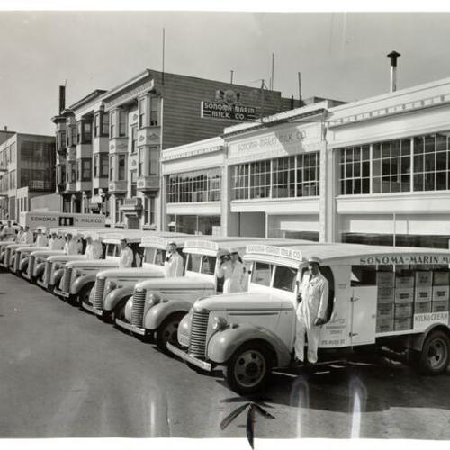 [Drivers posing with ten new delivery trucks at the Sonoma-Marin Milk Company]